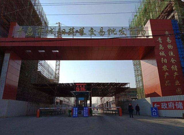 最新冷库洋葱市场价格解析，市场走势深度探讨