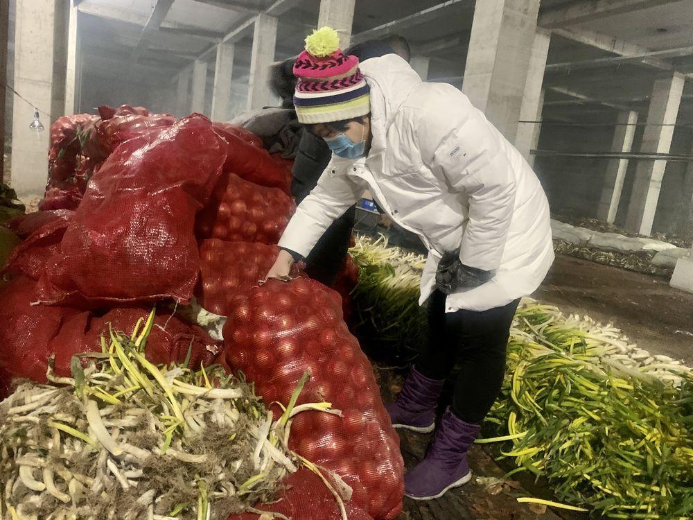 最新冷库洋葱市场价格解析，市场走势深度探讨