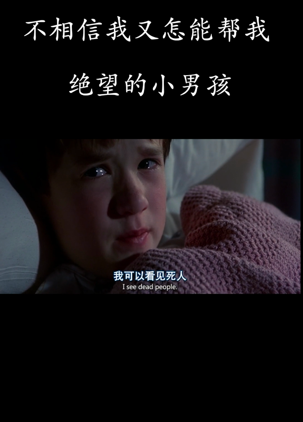 最新电影推荐，与自然共舞的心灵之旅启程