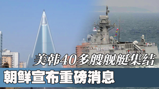 半岛最新局势与温馨日常，爱与陪伴的半岛奇妙旅程