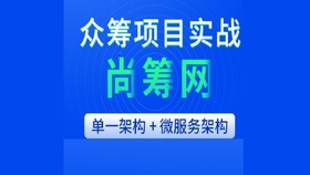 最新众筹项目，机遇与挑战的并存