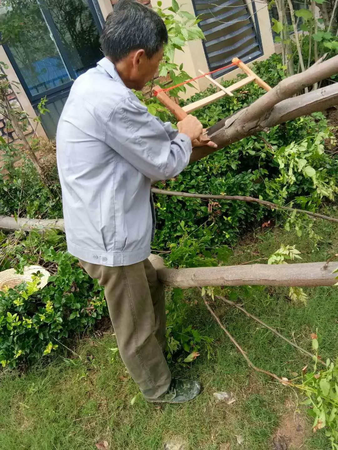 丰县雨润城最新动态，小巷深处的独特风味探索