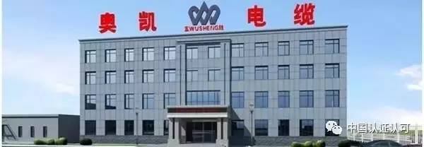 奥凯电缆最新进展，科技驱动创新，重塑电缆体验