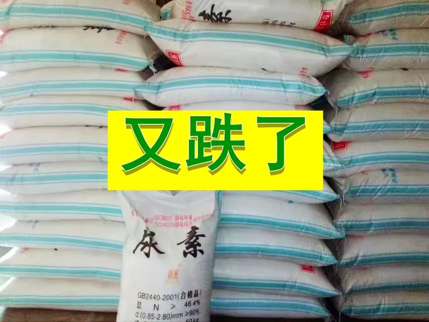 山东尿素价格行情,山东尿素价格行情揭秘，小巷中的隐秘宝藏