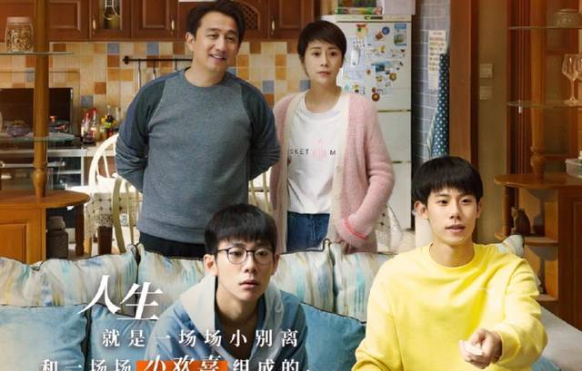 电视剧小欢喜演员，时代印记与角色重生之旅