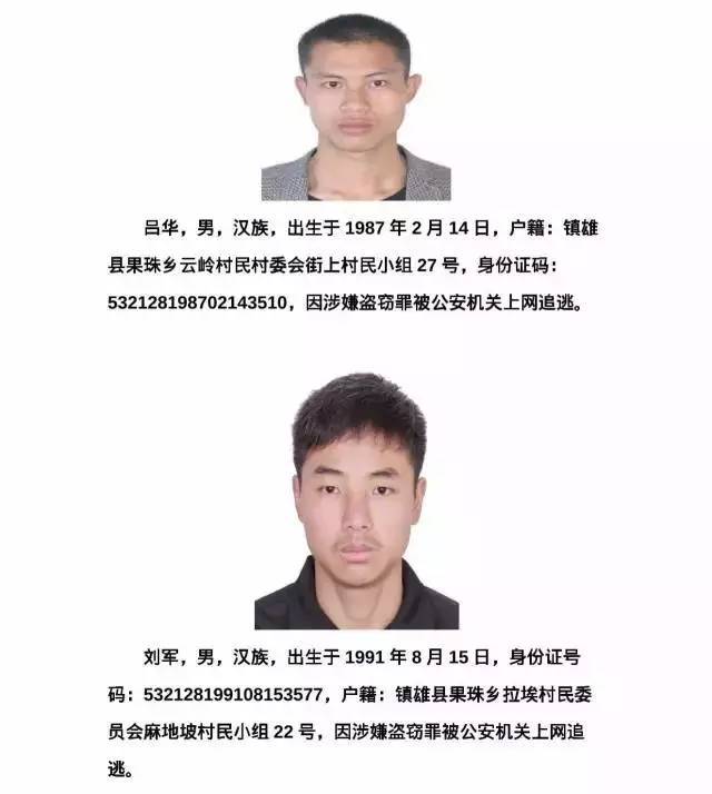 云南逃犯最新进展,云南逃犯最新进展，心灵之旅与自然的拥抱
