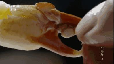 三门县最新地图及其观点论述解析