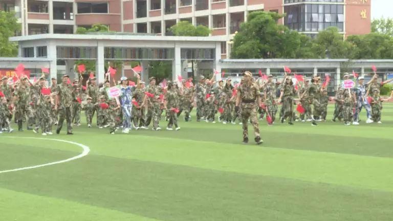四会幼儿园最新招聘，探索自然美景，寻找内心宁静之旅