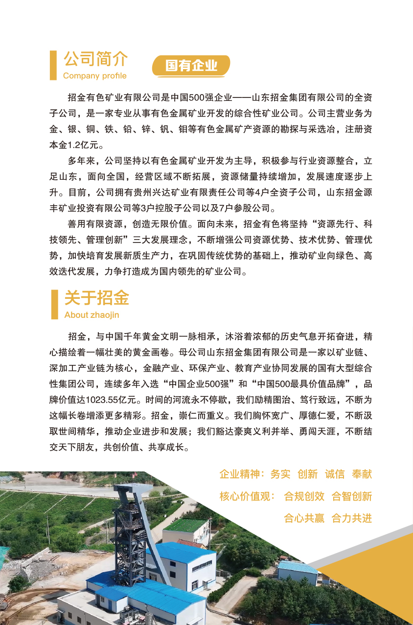 黄金行业的繁荣与挑战，最新金矿招聘启事