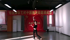 最新傣族舞，文化表达与传承的深入探讨