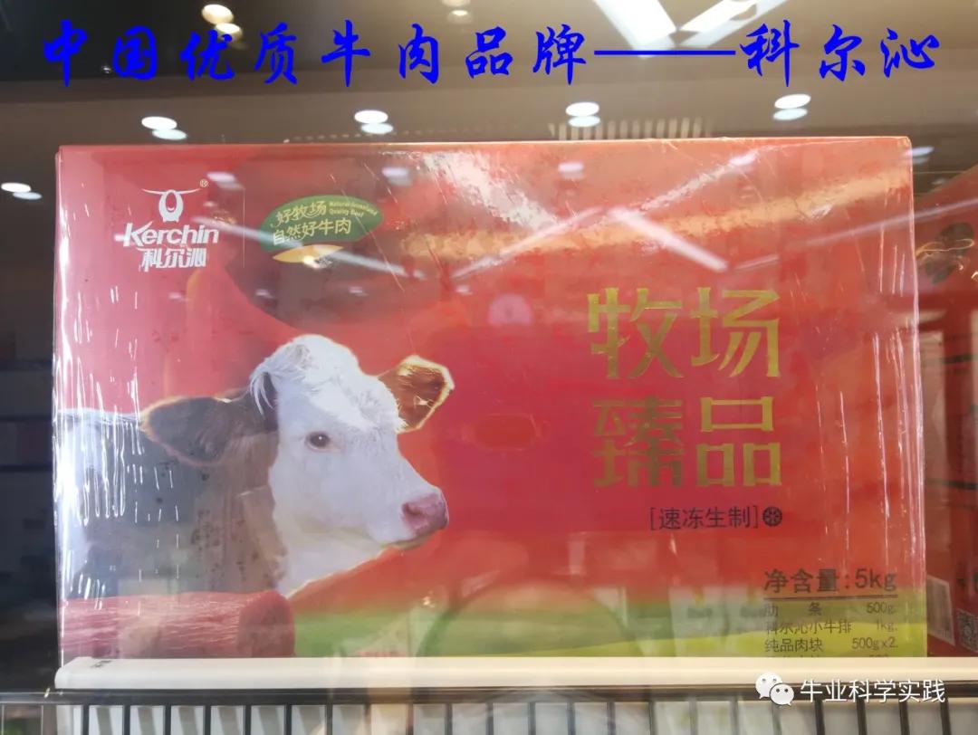 肉牛最新行情，一头牛的力量与市场机遇的变革