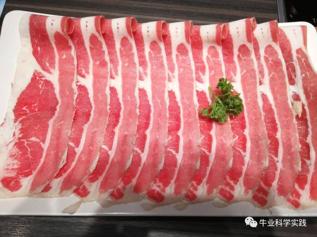 肉牛最新行情，一头牛的力量与市场机遇的变革