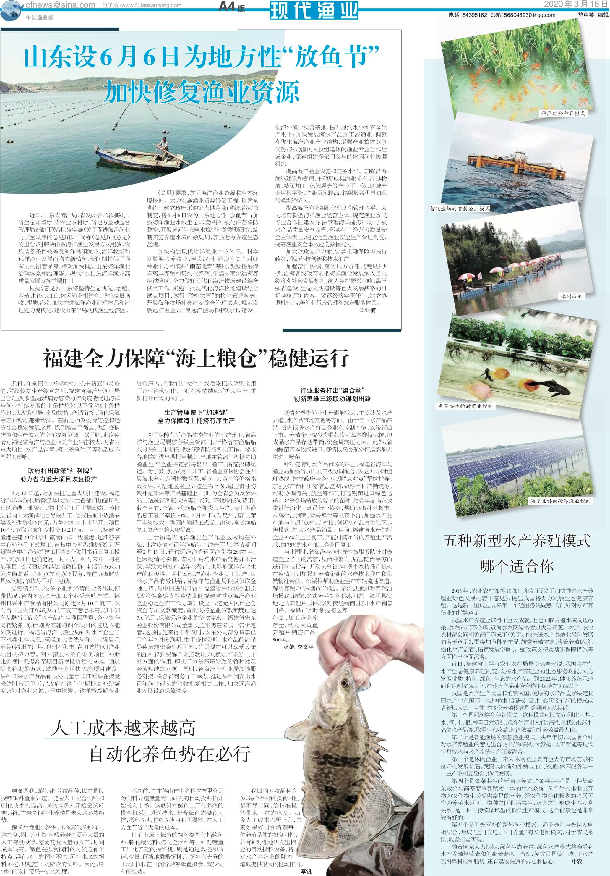 最新渔讯揭秘，小巷深处的鲜味秘境探索