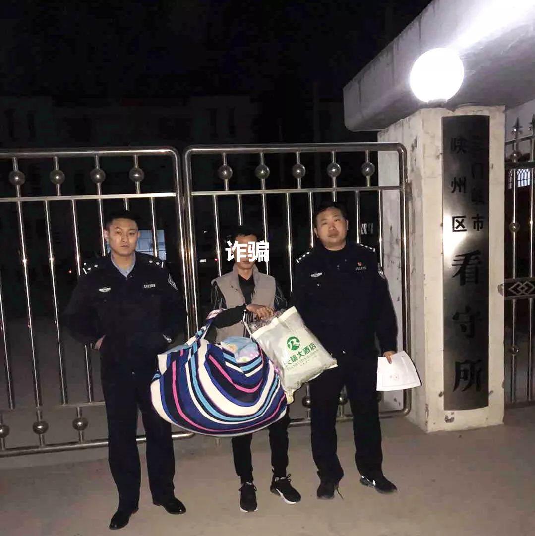 灵宝最新车祸事件深度解析