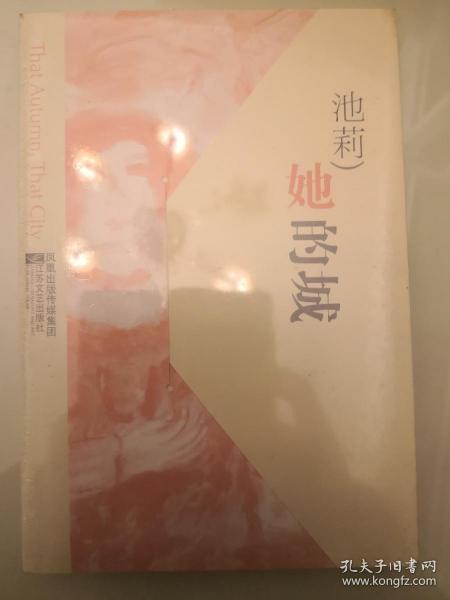 池莉最新作品，深度解读都市生活