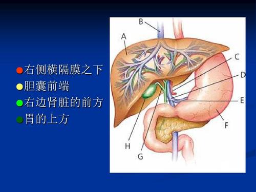 引领科技革新重塑生活品质，乙肝最新治疗技术揭秘