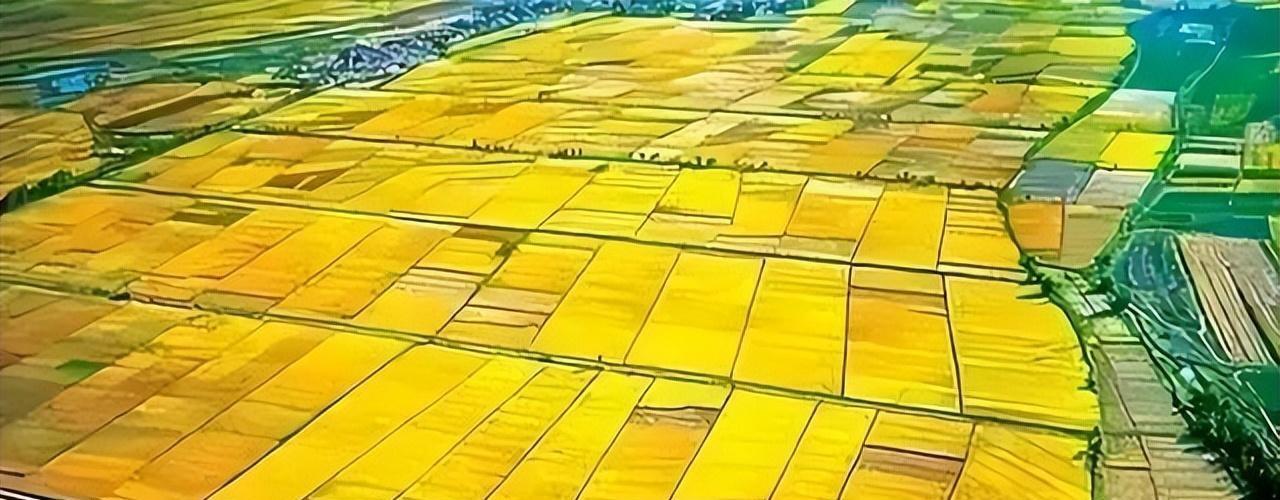 土地法最新变革，学习、自信与成就的力量之路
