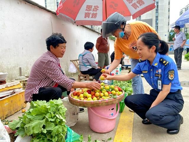 安吉递铺最新租房信息详解