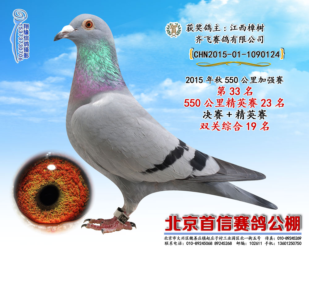 富轩公棚最新公告及其观点论述综述