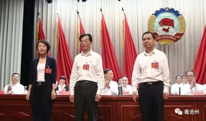 沧州市最新人事任免，时代印记与未来展望之路