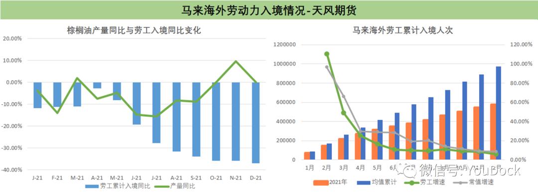 棕榈油现货价格最新获取指南，初学者到进阶用户的全面指南