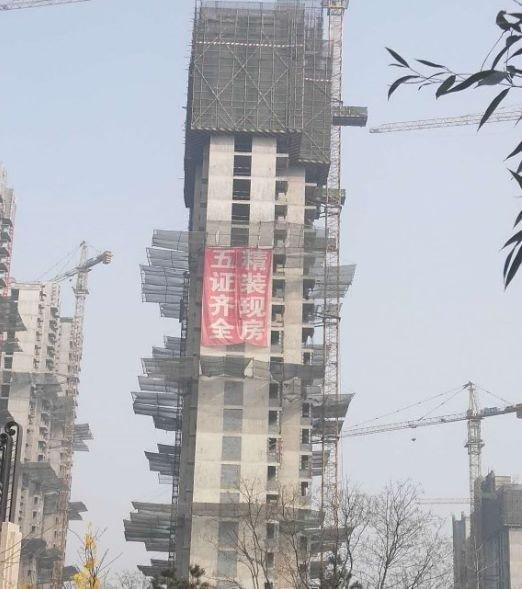 碧桂园清苑最新动态及消息更新