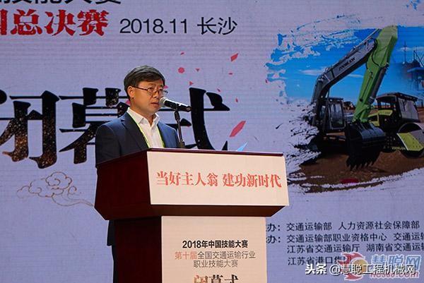 智慧树下的探索之旅，隐秘小巷与特色小店的无限魅力