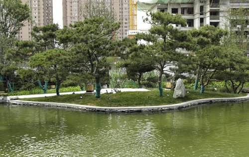 咸阳恒大帝景最新动态揭秘，小巷深处的特色小店探秘之旅