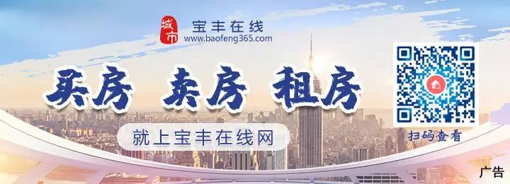 宝丰房屋出租最新消息详解，租房步骤指南与最新动态关注返回标题宝丰房屋出租最新消息及租房指南
