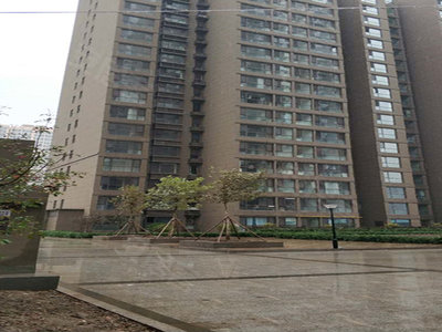 太原来福花园，最新动态、日常趣事与温情相伴的时光