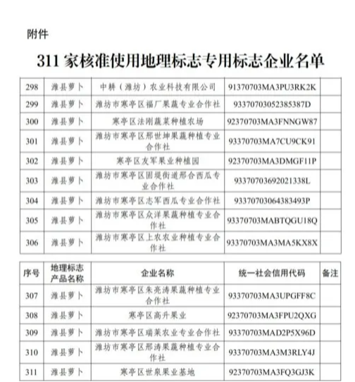 多维度视角下的观察与思考，百色最新副处级公示分析