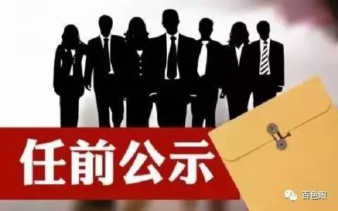 多维度视角下的观察与思考，百色最新副处级公示分析