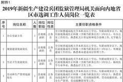 多维度视角下的观察与思考，百色最新副处级公示分析