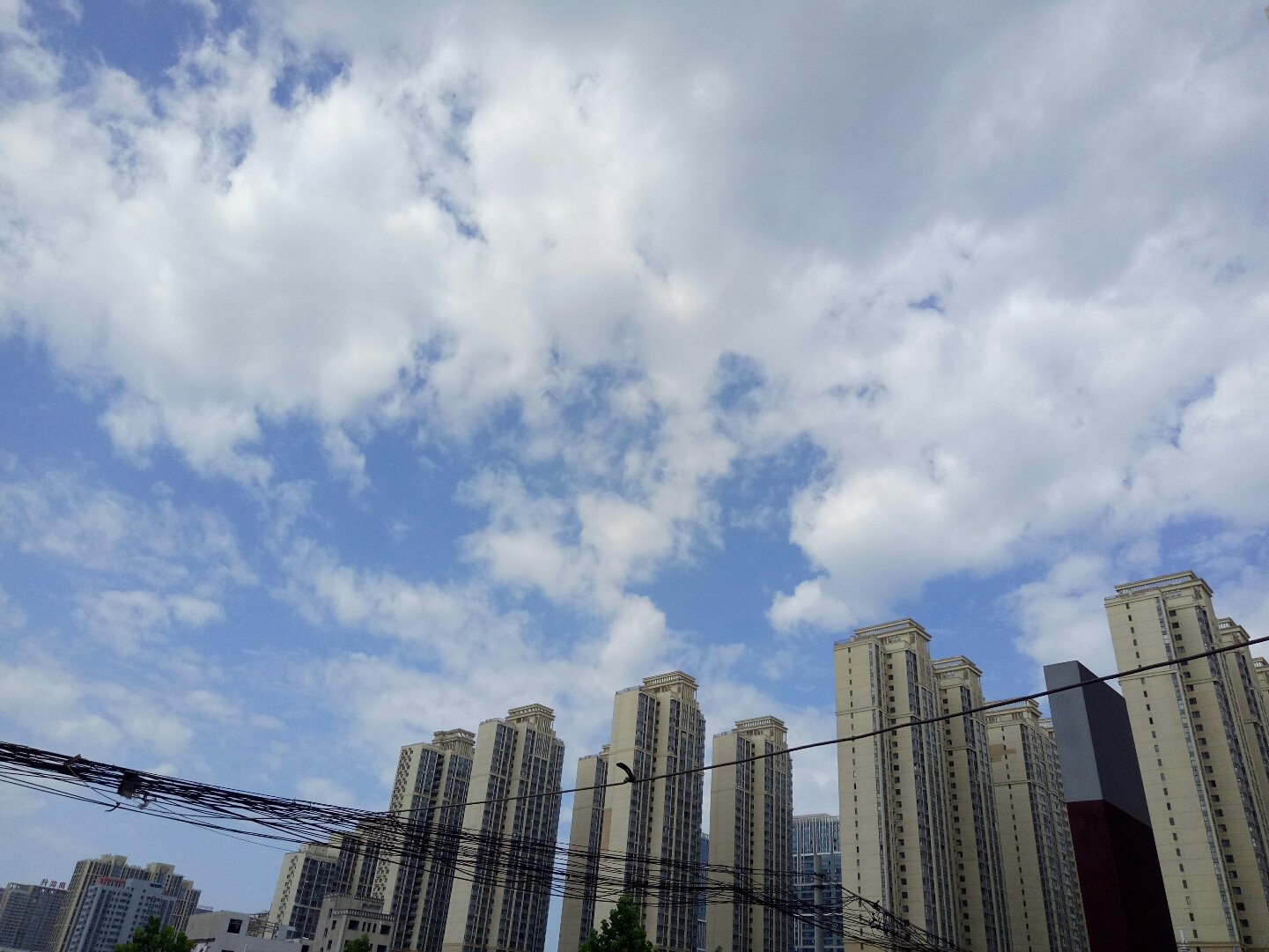 二七区最新天气预报，科技引领天气预报新时代体验