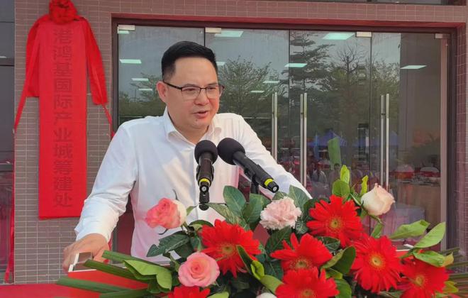 廉江陈国集最新动态，小巷美食秘境探秘