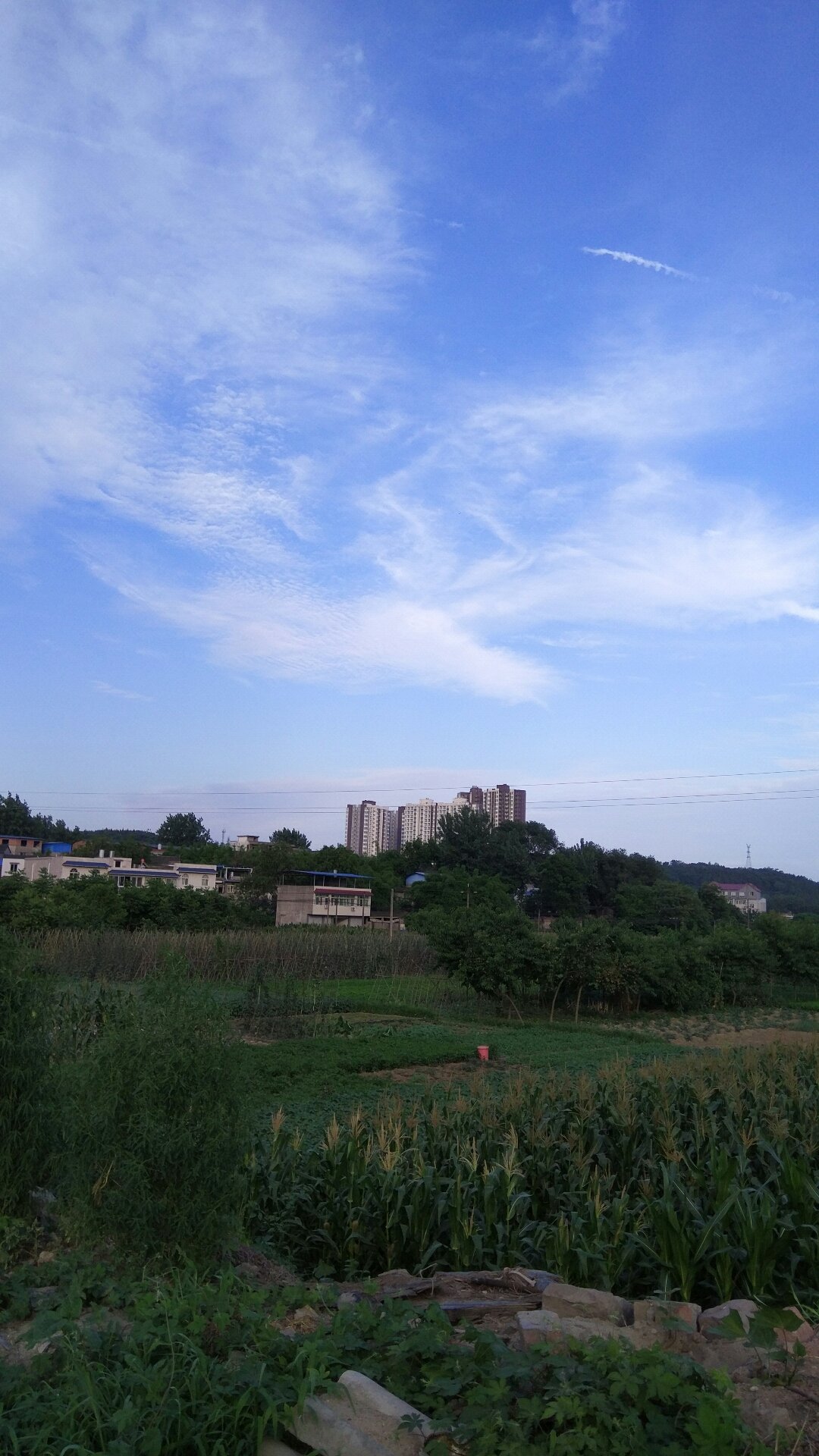 成都市简阳市最新天气，阳光下的励志旅程