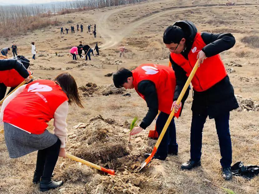 随州市碧桂园最新房价动态，变化中的机遇与学习的自信