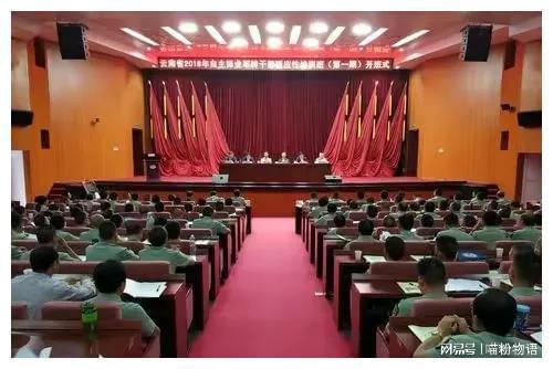 军转志愿兵最新政策解读、分析与展望，全面解读未来趋势及影响