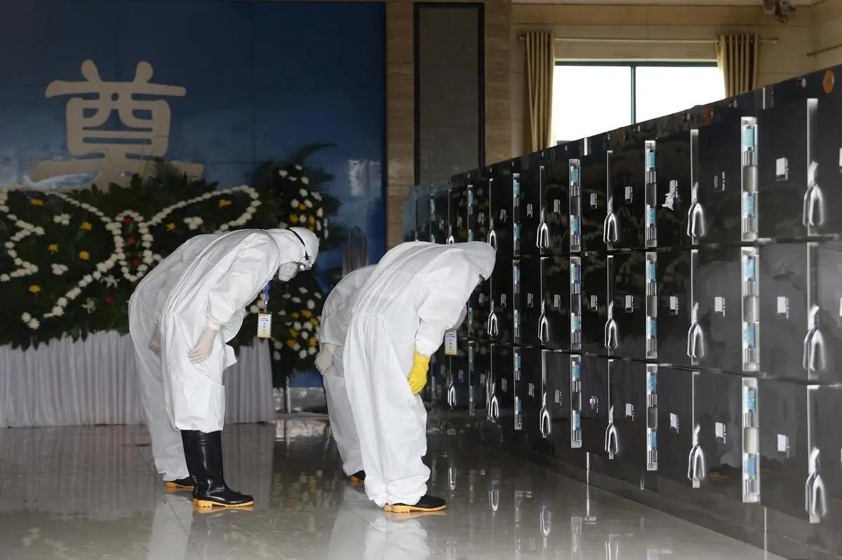 沈阳交通事故最新报道及应对防范指南，初学者与进阶用户必读