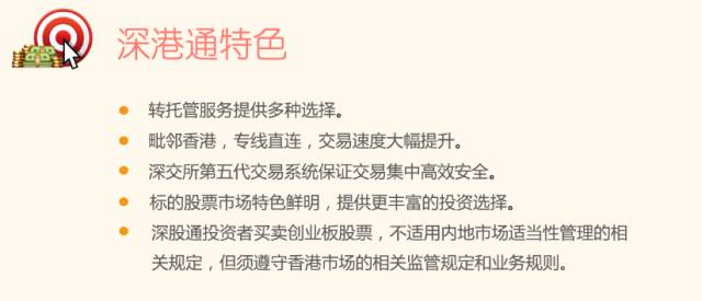 洞悉市场脉动，投资者眼中的最新交易时间与投资先机探讨