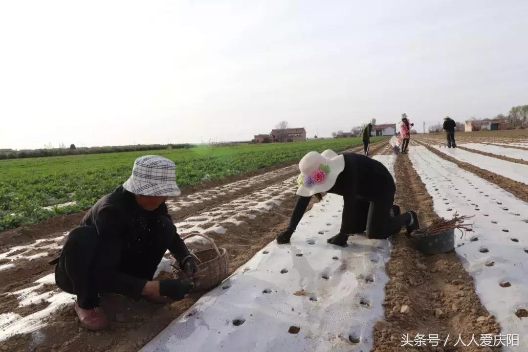 宁县和盛镇最新动态，自信与成就感的蜕变