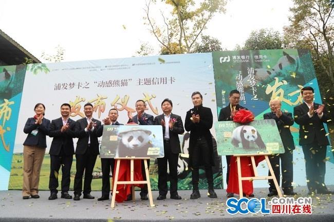 浦发成都分行最新动态，力量变革与成长旋律的自信展示