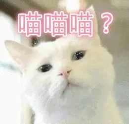 兔牙喵喵喵最新作品，探索创意艺术的无限魅力