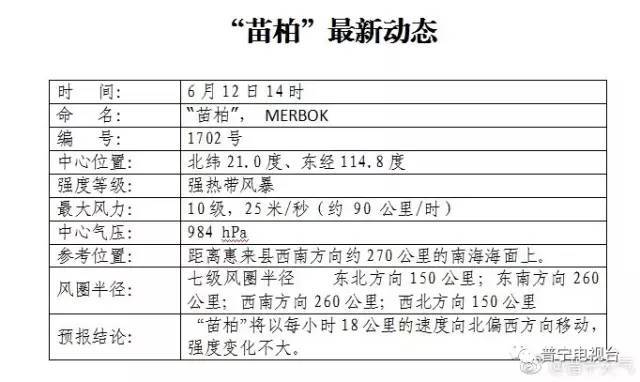 台风苗柏最新动态，友情与陪伴的温馨日常