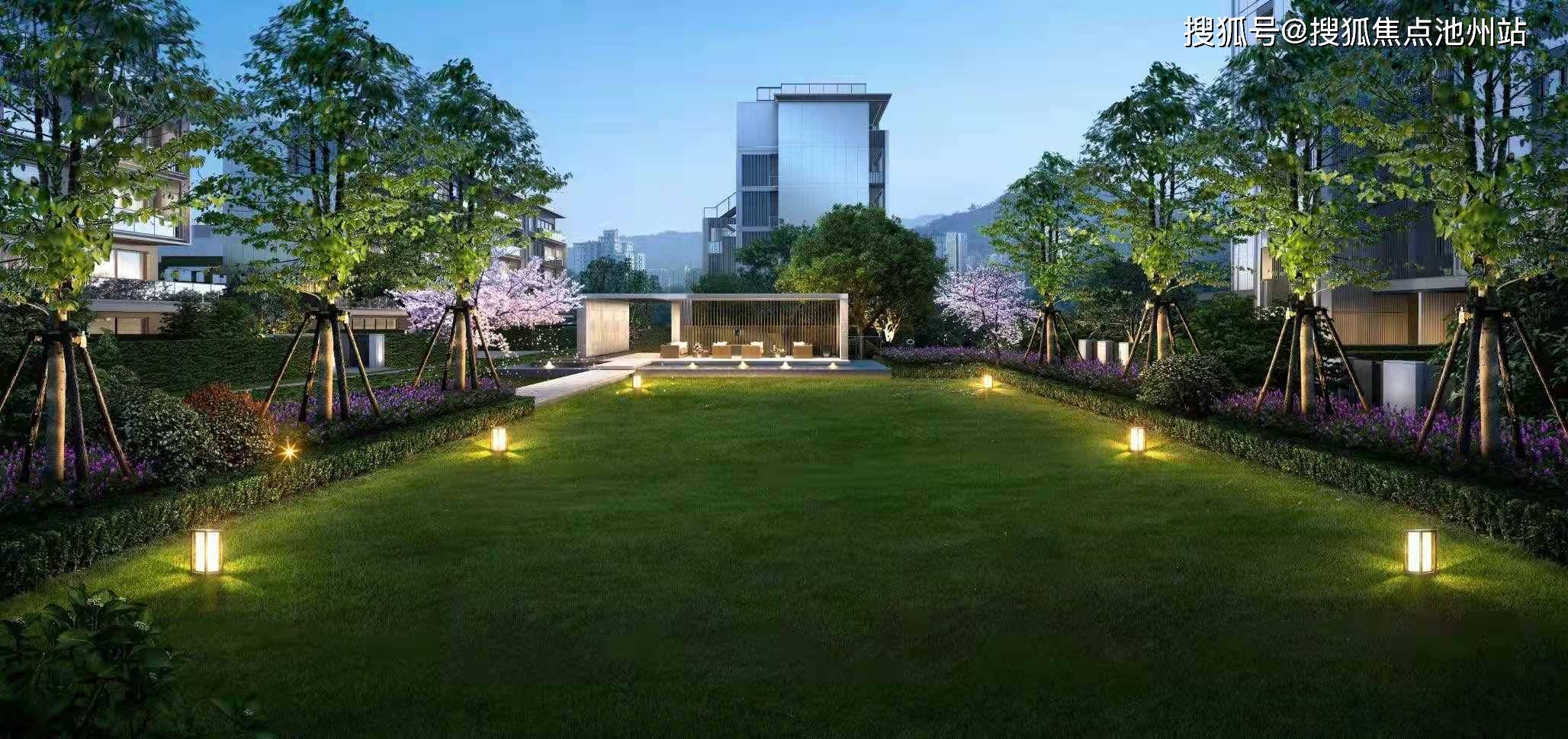 谢哥博客，丝袜日常与温馨友情的最新篇章