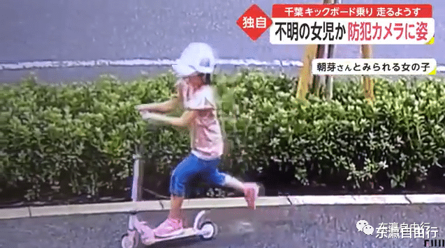 日本失联女孩最新动态，拥抱自然，心灵平静之旅重启