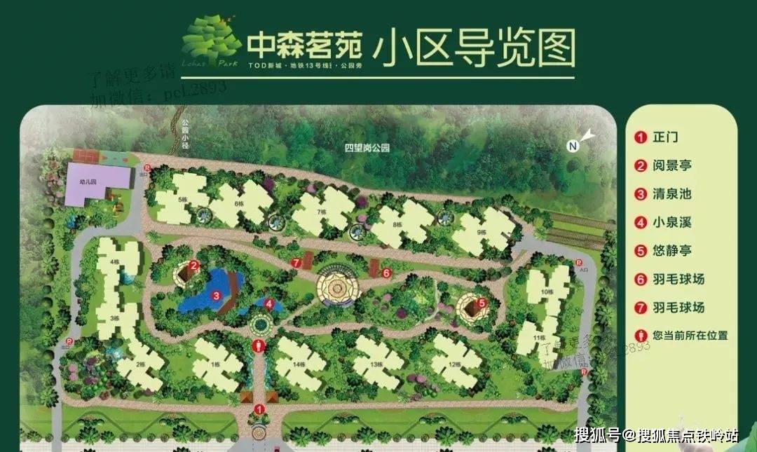 中森茗苑最新动态，学习变化，自信塑造未来