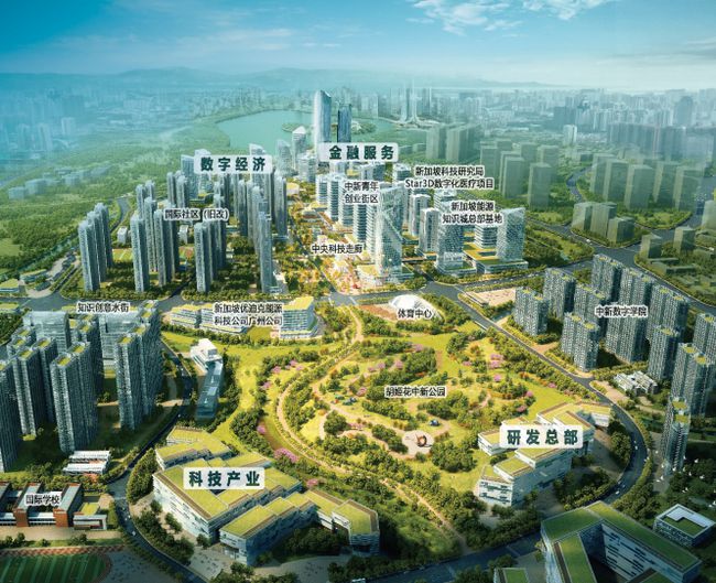 中新知识城最新动态，全面了解与参与指南
