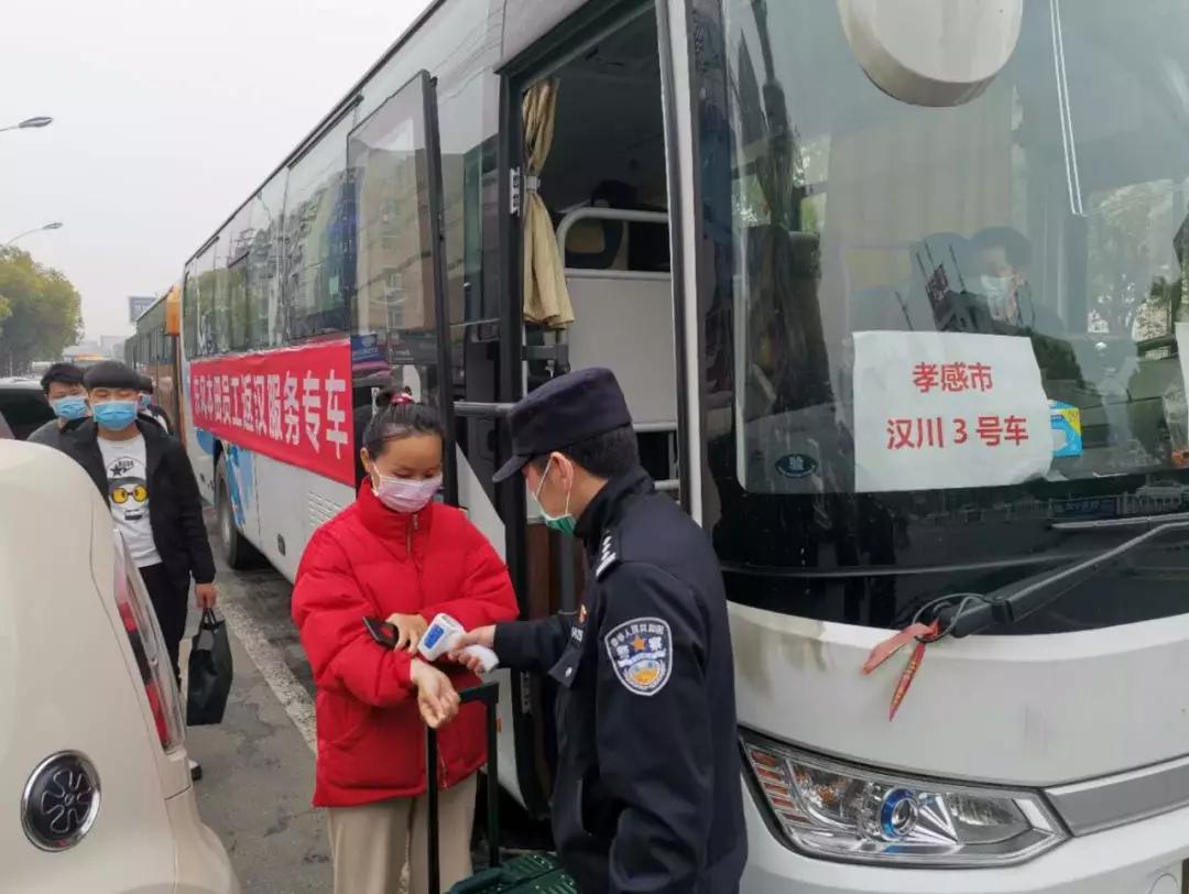 最新返汉规定下的绿色心灵之旅，寻找内心平静的旅程