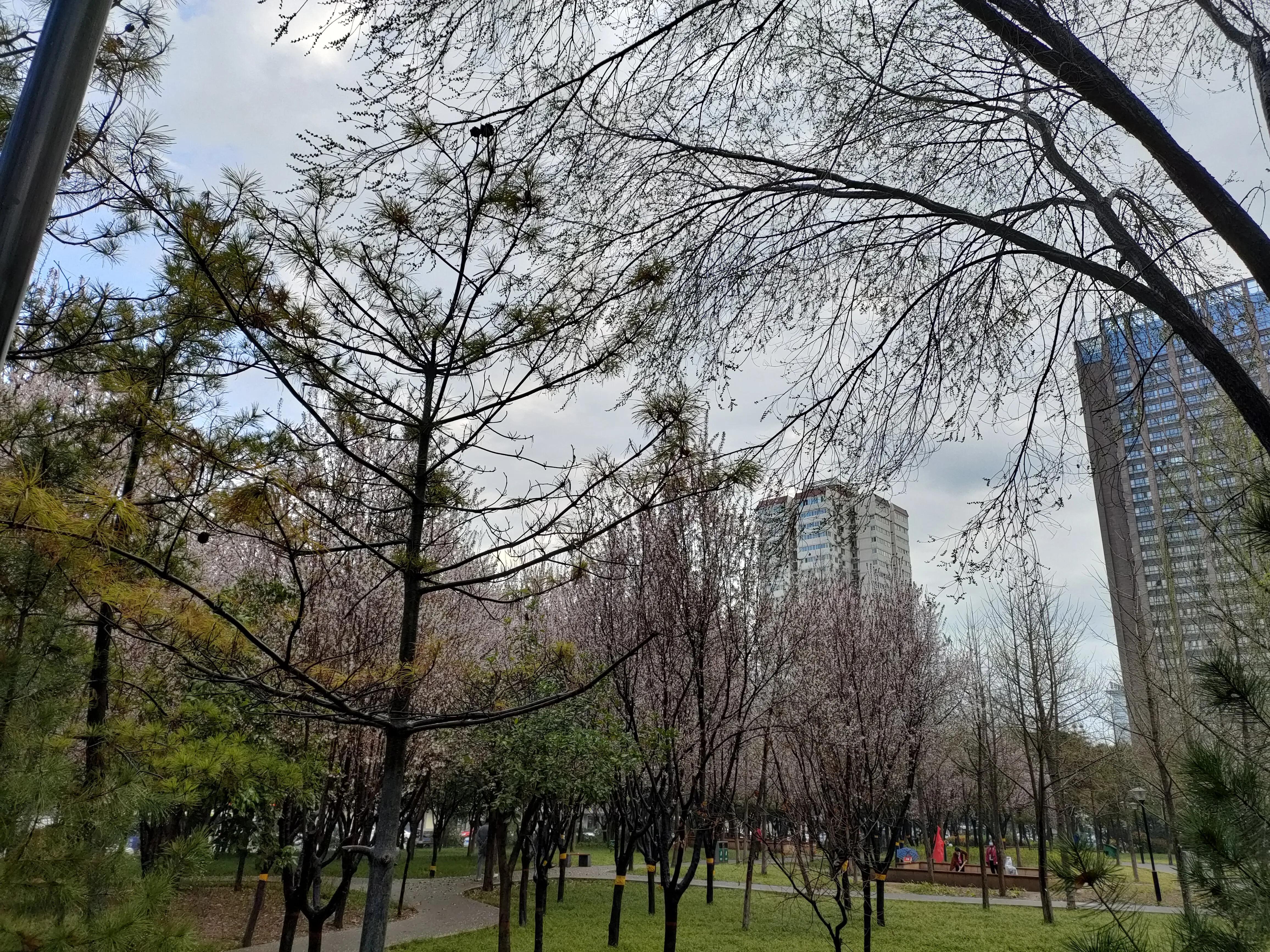 西安自信之光，励志之旅，展现变化之力
